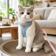 Katzengeschirr Hauptbild