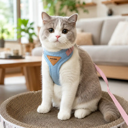 Katzengeschirr Hauptbild