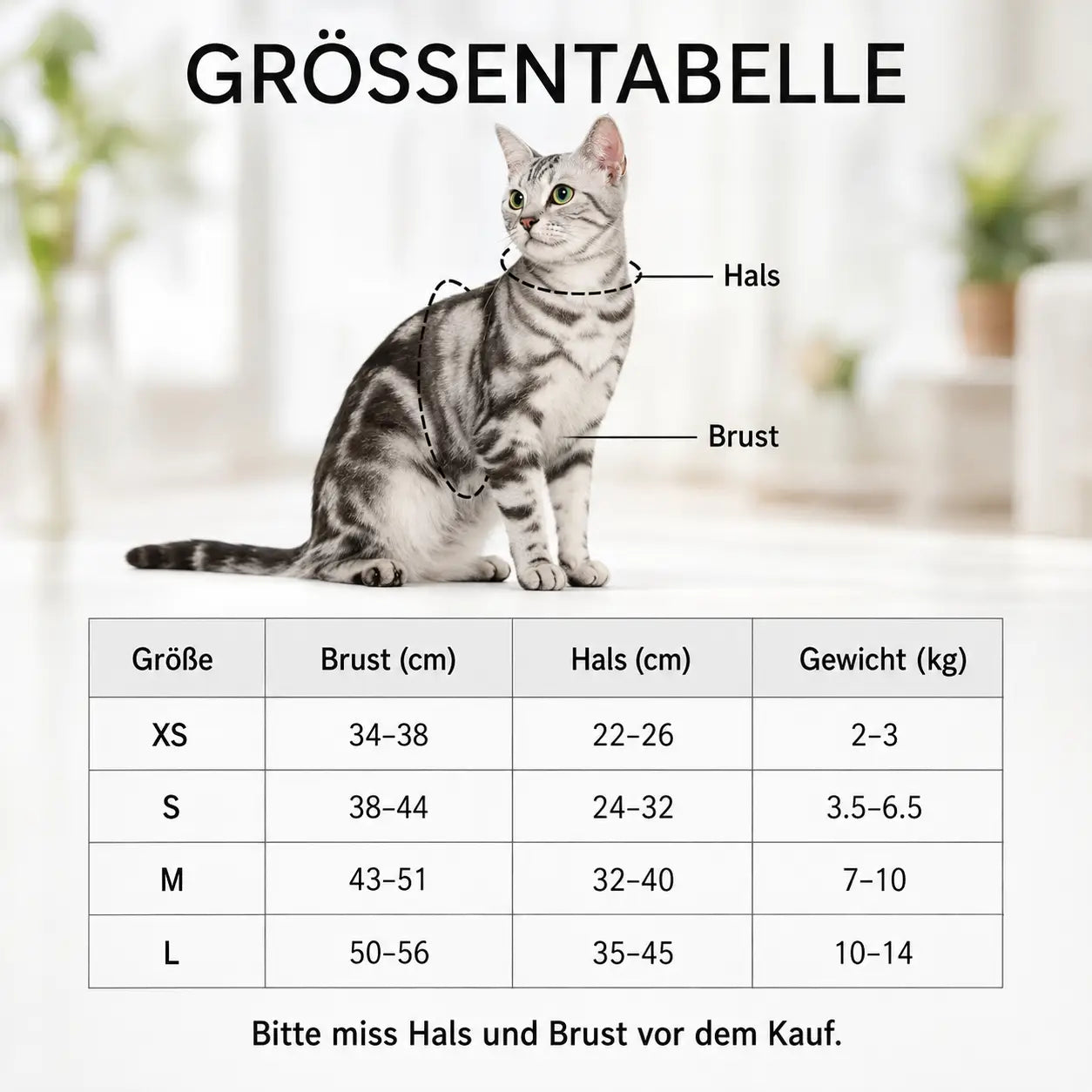 Katzengeschirr Größentabelle