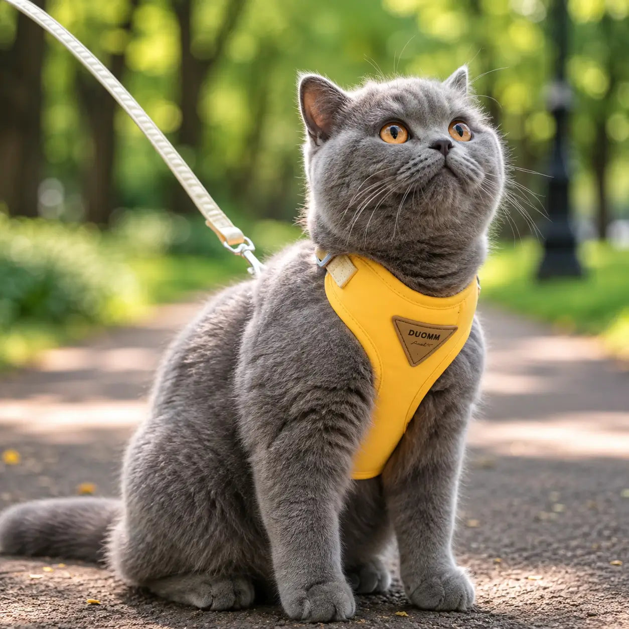 Katzengeschirr