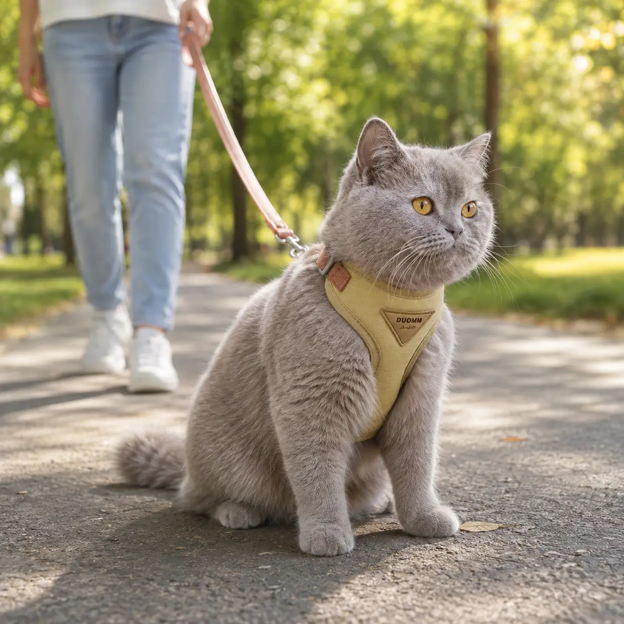 Katzengeschirr