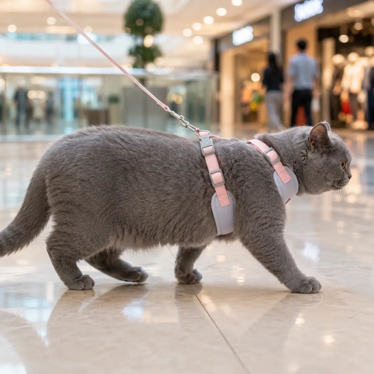Katzengeschirr
