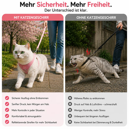 Katzengeschirr Produktvergleich