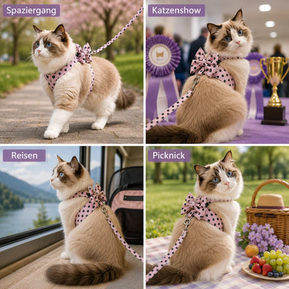 Katzengeschirr Anwendungsszenarien