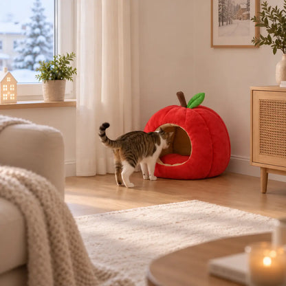 Katzenbett