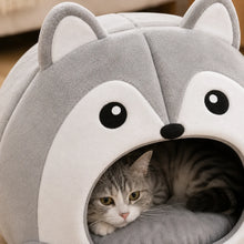 Katzenh_hle_Pl_sch Lifestyle-Bild