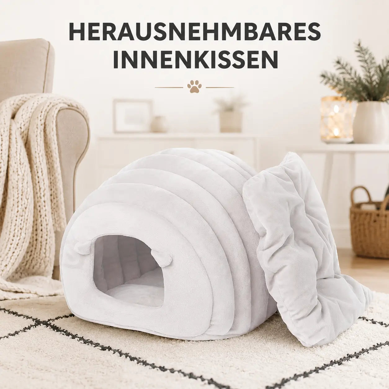 Katzenhohle Funktionsübersicht 