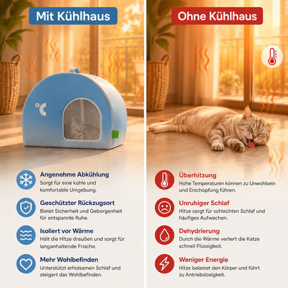 Katzenhaus Problem & Lösung
