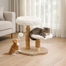 Katzenkratzbaum Hauptbild 