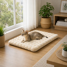 Katzenmatte Hauptbild 