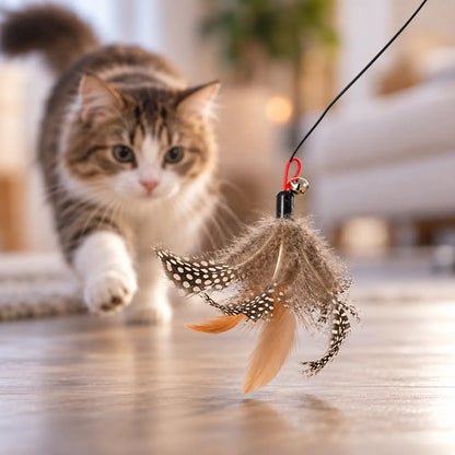 Katzenspielzeug