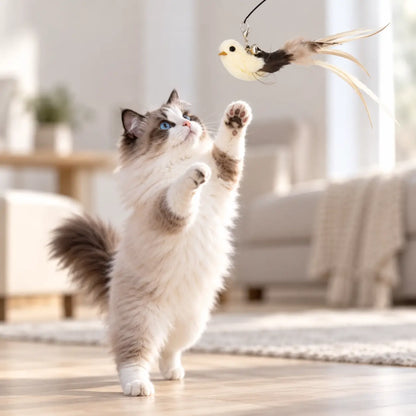 Katzenspielzeug