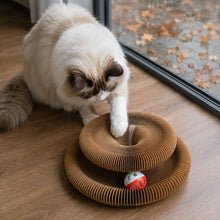 Katzenspielzeug für Katzen Hauptbild