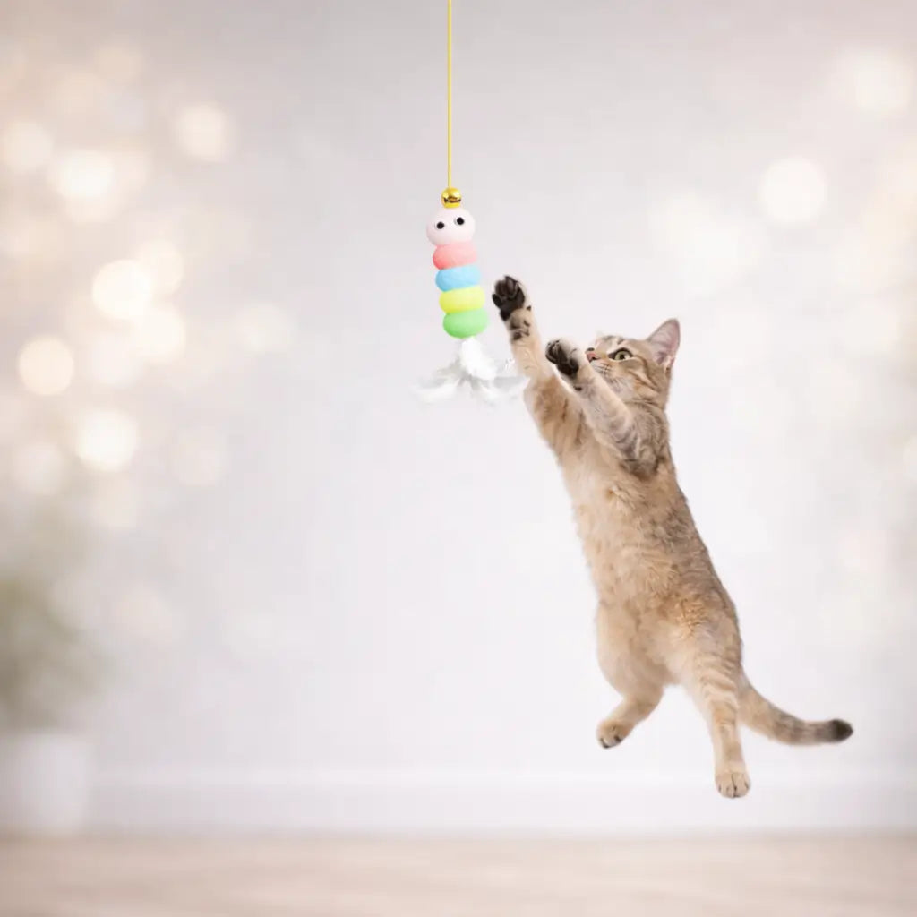 Katzenspielzeug spielen 