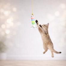 Katzenspielzeug spielen 