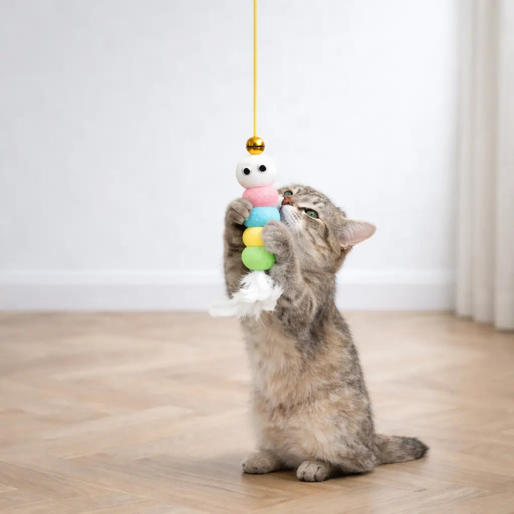 Katzenspielzeug spielen 