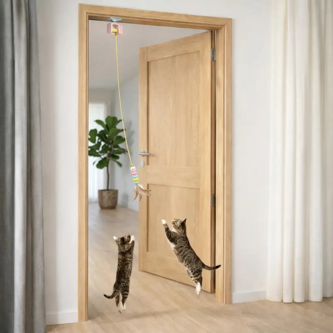 Katzenspielzeug 2katzen