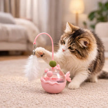 Katzenspielzeug Rosa