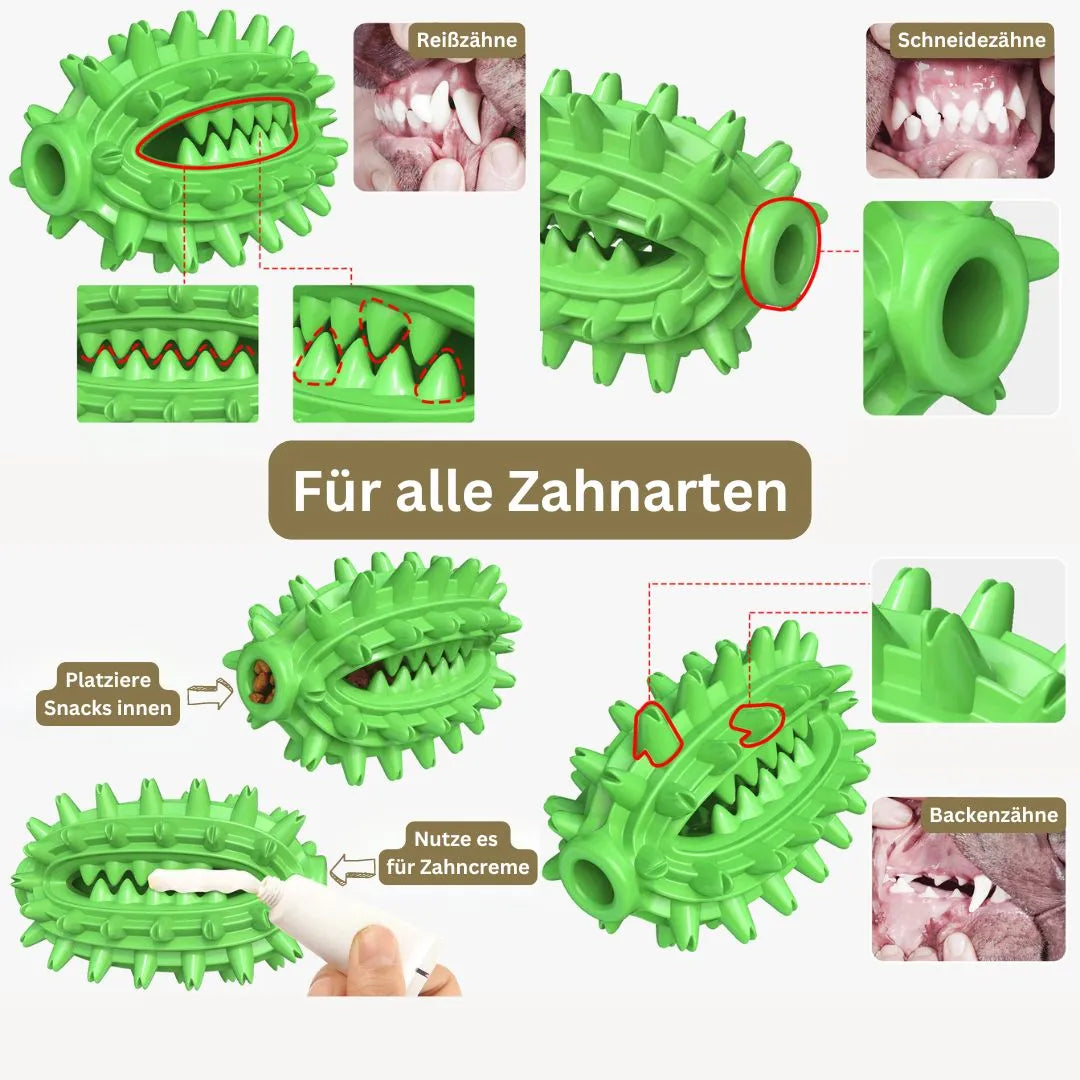 KauKönig – Das robuste Kauspielzeug für gesunde Hundezähne