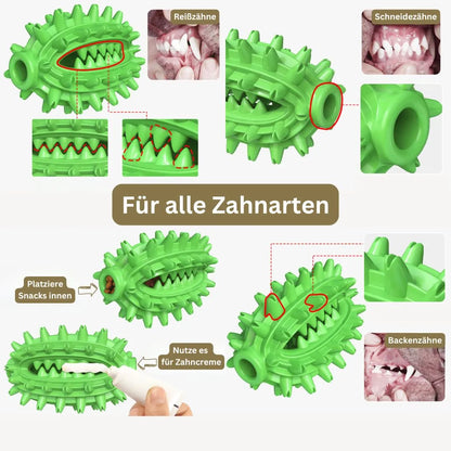KauKönig – Das robuste Kauspielzeug für gesunde Hundezähne