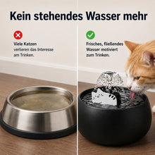 Katzenbrunnen Problem & Lösung 