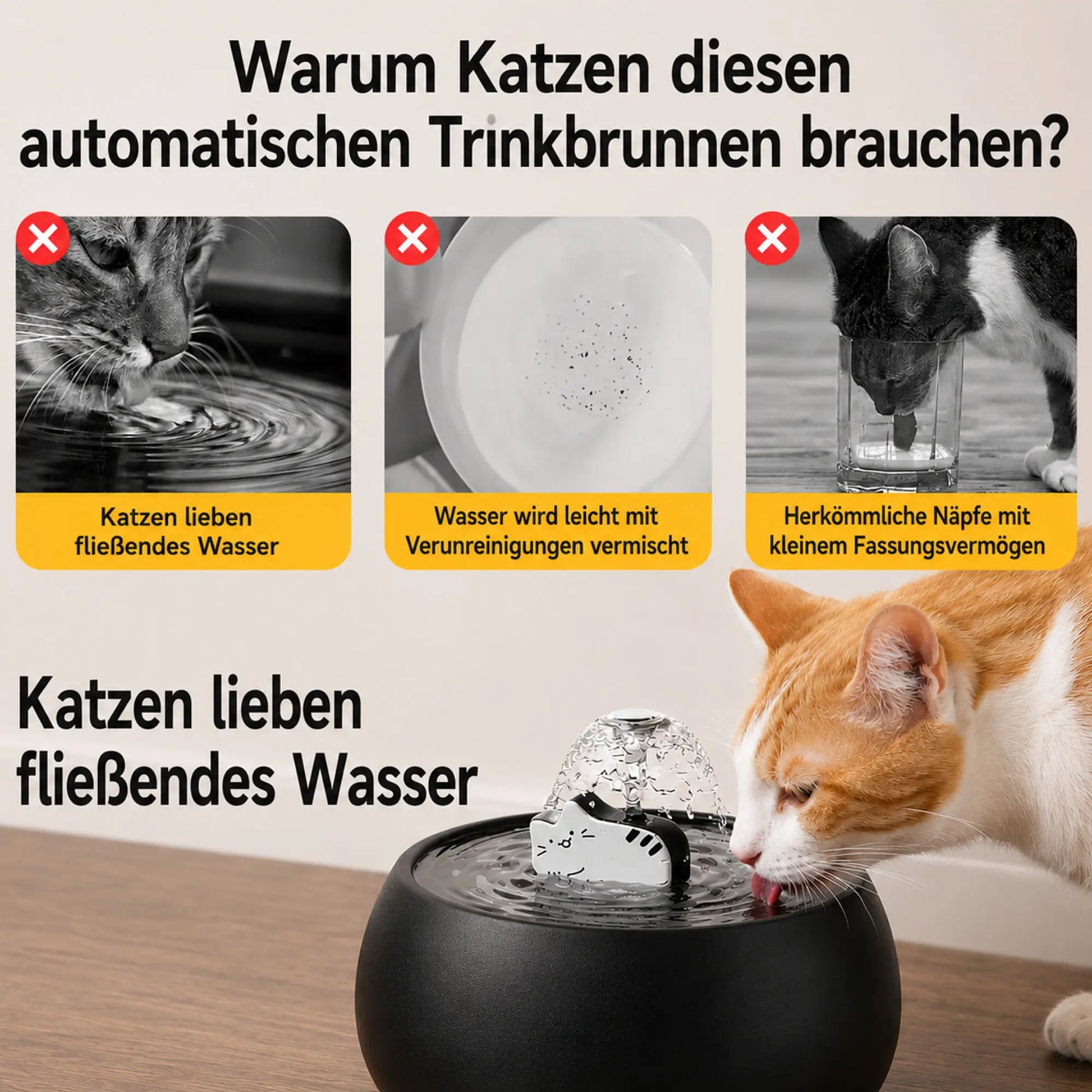Katzenbrunnen Vorteile 