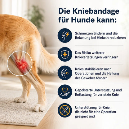 Kniebandage  Produktmerkmale 
