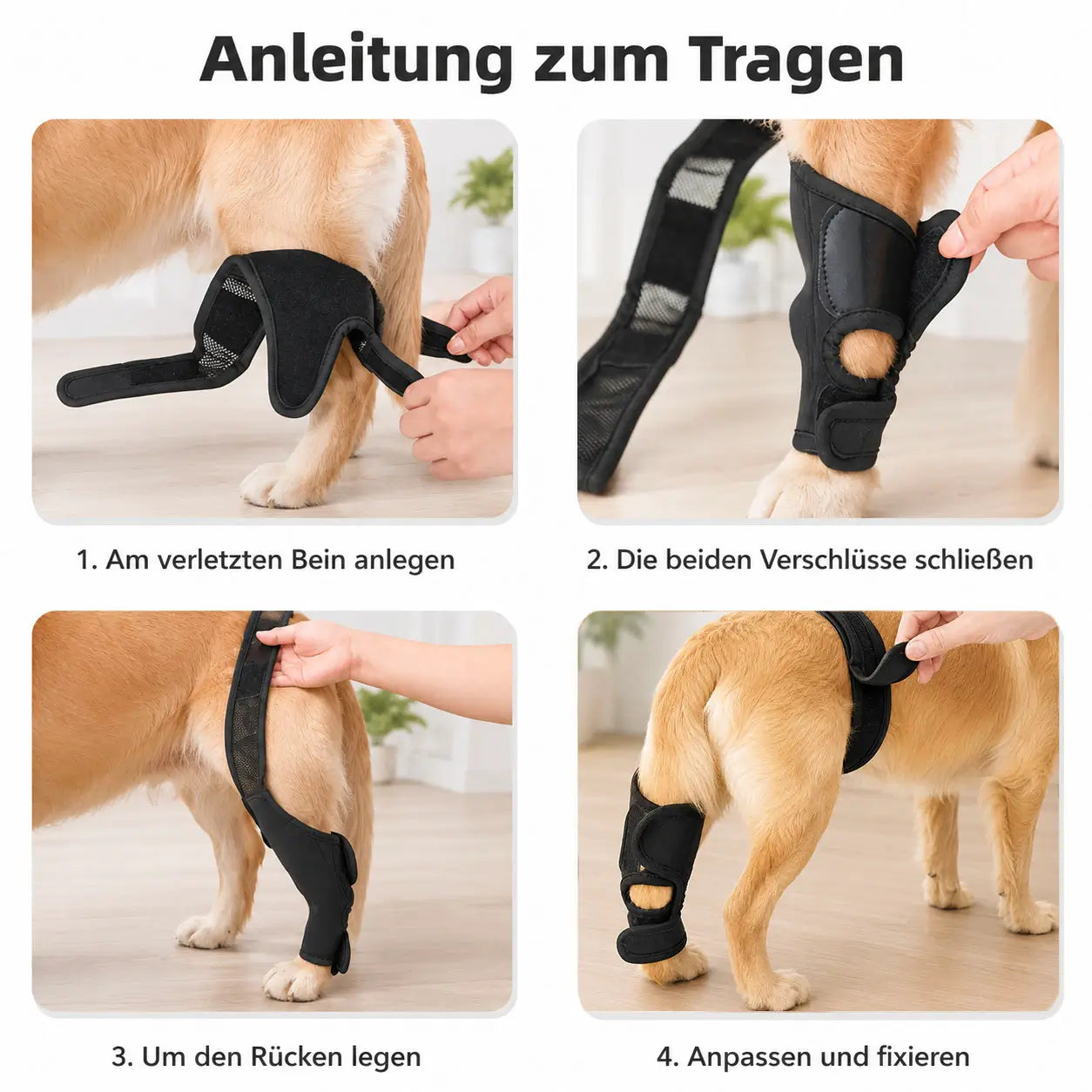 Kniebandage Installation 