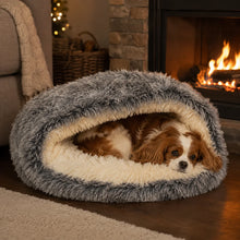 Kuschelnest_f_r_Haustiere Lifestyle-Bild