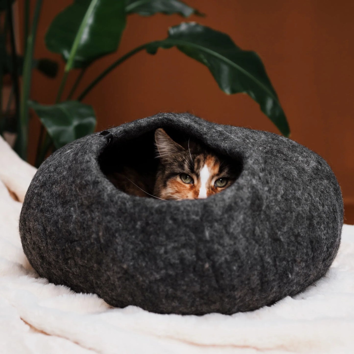 SnuggleCave Filzhöhle für Katzen