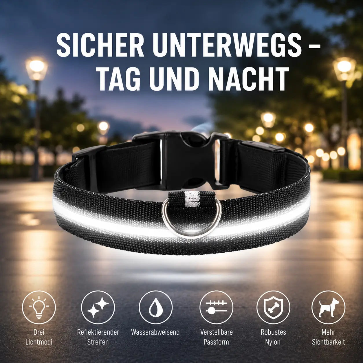Hundehalsband Vergleich