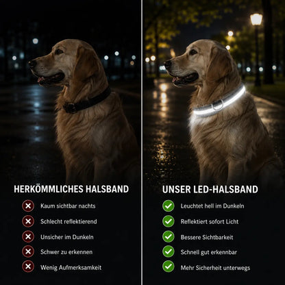 Hundehalsband Vergleich