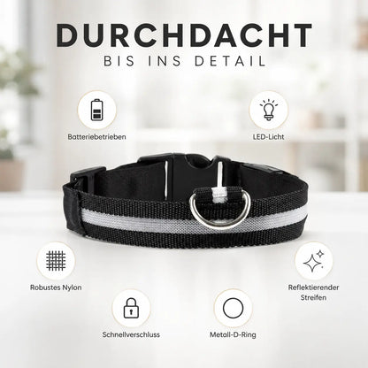 Hundehalsband Produktmerkmale 