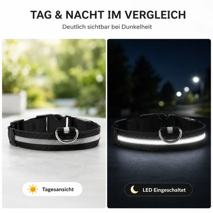 Hundehalsband Funktionsübersicht