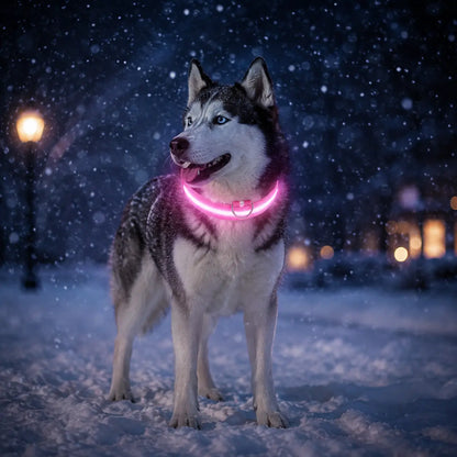 Hundehalsband