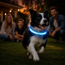 Hundehalsband