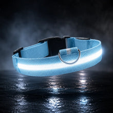Hundehalsband