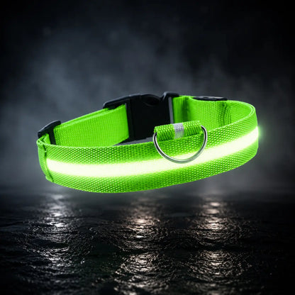 Hundehalsband