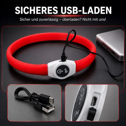 LED_Hundehalsband Funktionsübersicht
