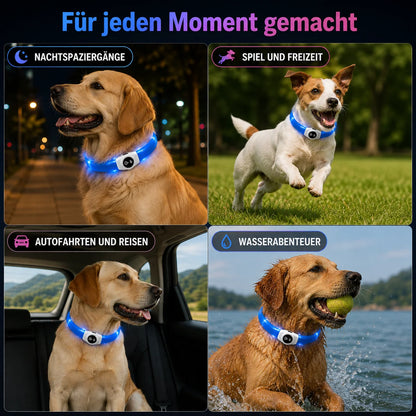 LED_Hundehalsband Anwendungsszenarien