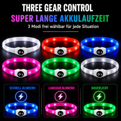 LED_Hundehalsband Funktionsübersicht 