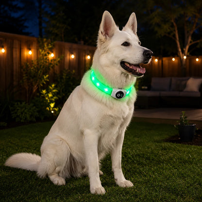 LED_Hundehalsband variantbild  grun