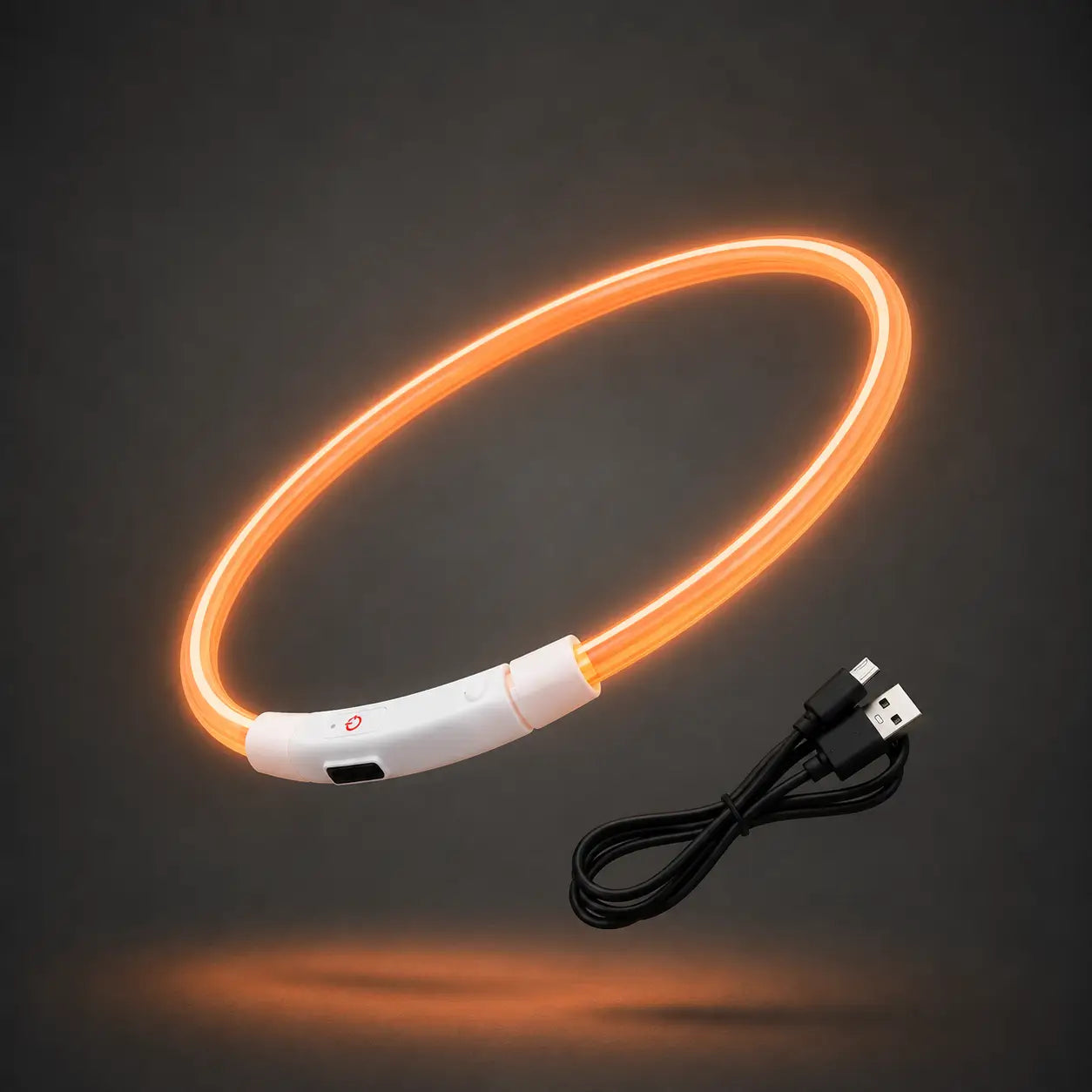 LED Hundehalsband 