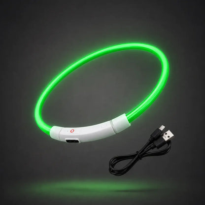 LED Hundehalsband 