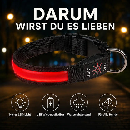 Hundehalsband Vorteile