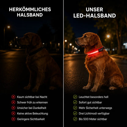 Hundehalsband Vergleich