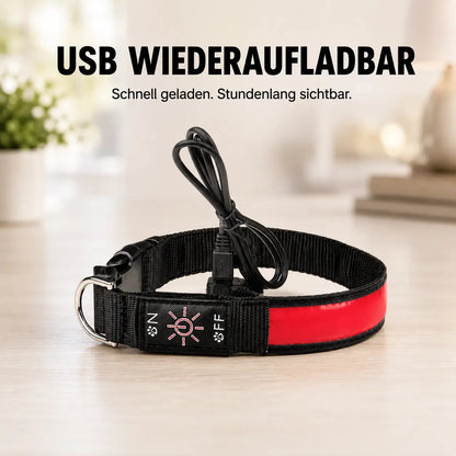 Hundehalsband Produktmerkmale