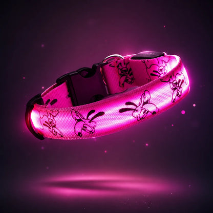 LED_Hundehalsband_ Hauptbild