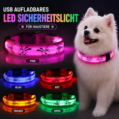 LED_Hundehalsband_Produktmerkmal