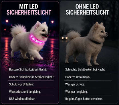 LED_Hundehalsband_ Produktvergleich 